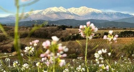 Prades Terrain à bâtir - 1900878-4671annonce120240710gJTsv.jpeg Maisons Balency