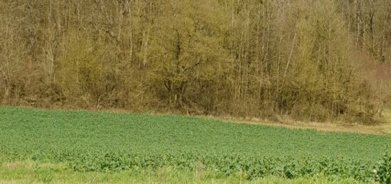 Terrain à bâtir à Nanteuil-le-Haudouin, Hauts-de-France