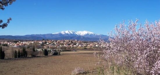 Terrain à bâtir à Ponteilla, Occitanie