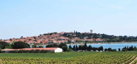 Terrain à bâtir à Villeneuve-de-la-Raho, Occitanie