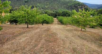 Céret Terrain à bâtir - 1957660-4671annonce120240924uRU1x.jpeg Maisons Balency