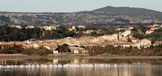 Terrain à bâtir à La Palme, Occitanie