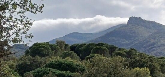 Terrain à bâtir à Sorède, Occitanie