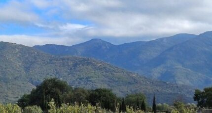 Laroque-des-Albères Terrain à bâtir - 1984809-4671annonce120241023buOpU.jpeg Maisons Balency