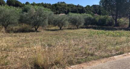 Sainte-Croix-de-Quintillargues Terrain à bâtir - 2016344-10245annonce120241202niJQi.jpeg Maisons Balency