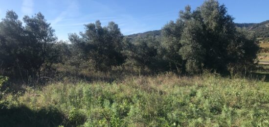 Terrain à bâtir à Mas-de-Londres, Occitanie